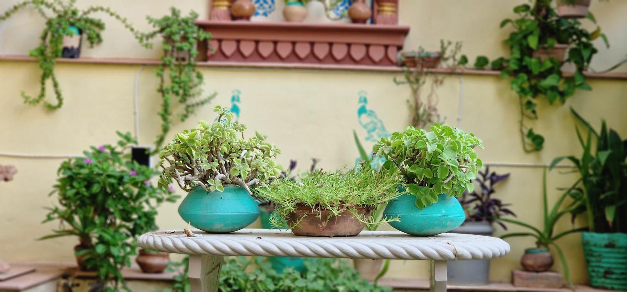 Harsidhi Haveli Apartment Bikaner Exterior photo